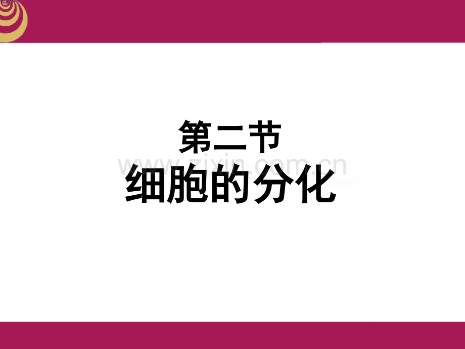 细胞的分化人教生物必修一第六章第二节.ppt_第1页