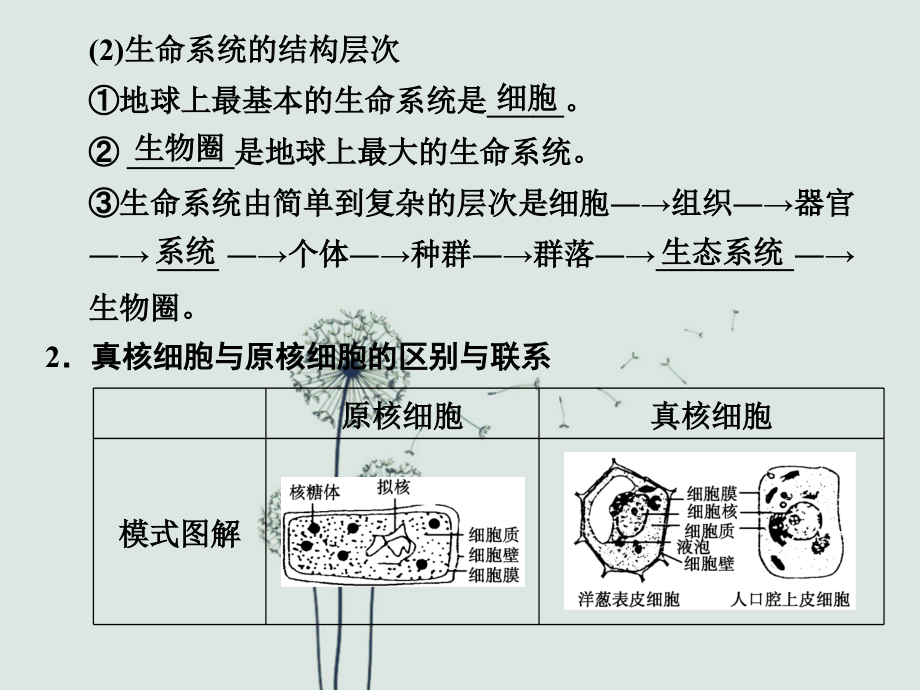 高一生物第一单元知识点.ppt_第3页