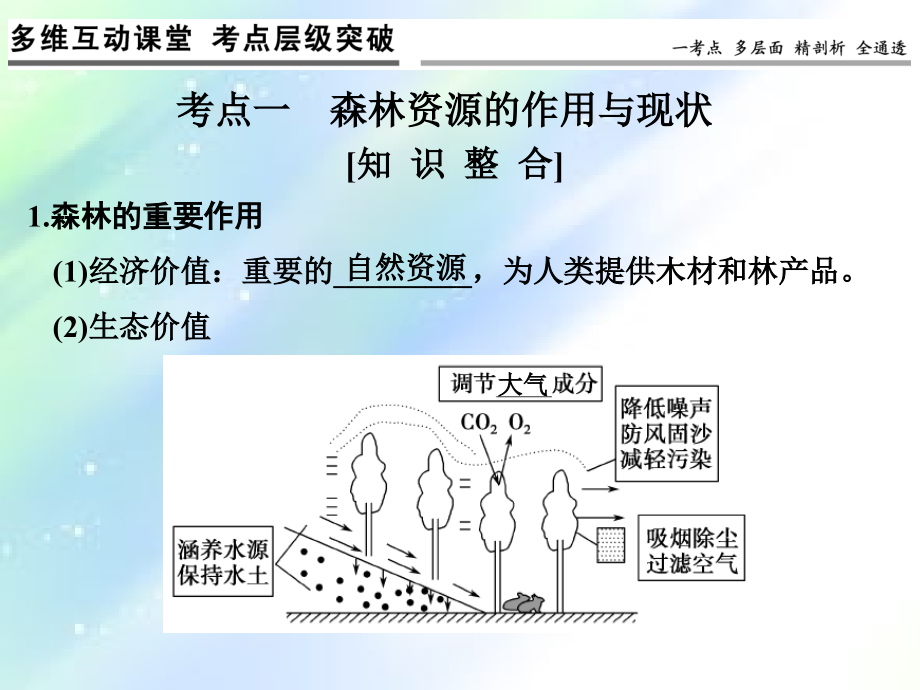 高三地理一轮复习-森林的开发与保护.ppt_第3页