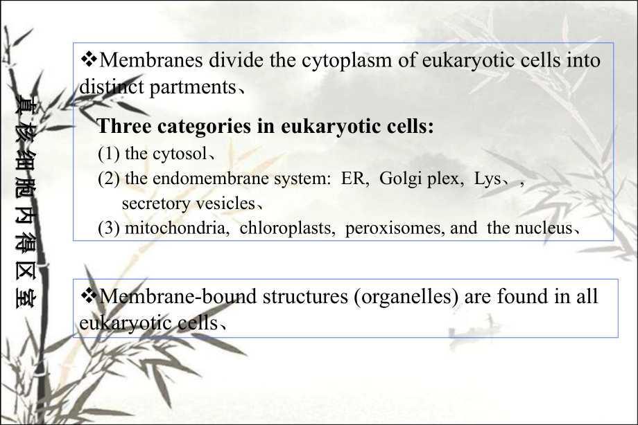 细胞生物学细胞内膜系统新.pptx_第2页