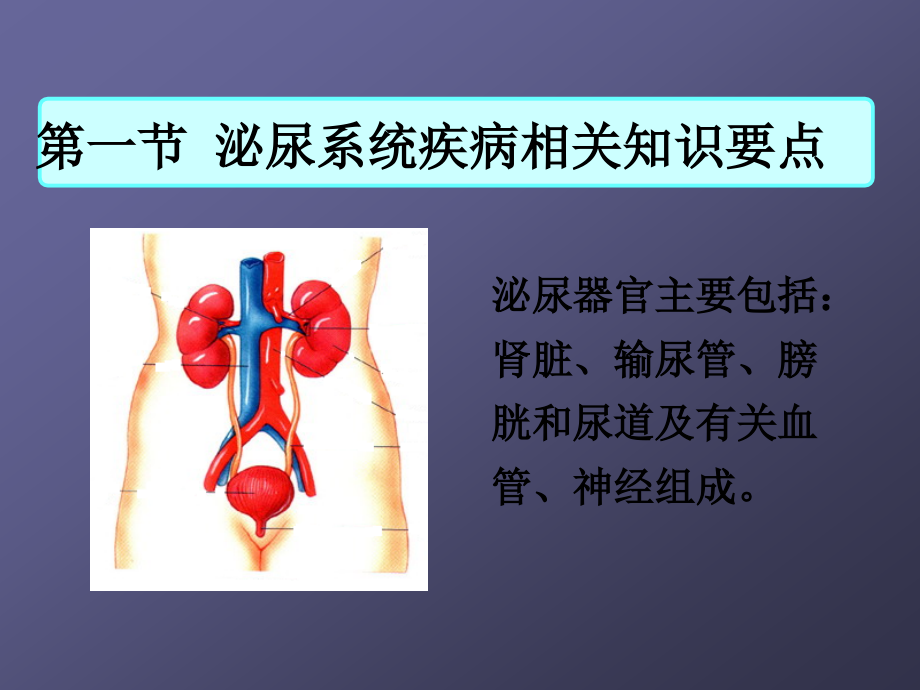 泌尿系统疾病常见症状体征的的护理ppt.ppt_第2页