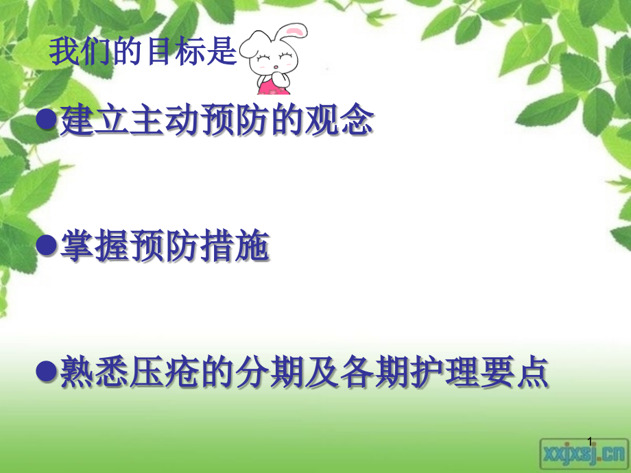 压疮的评估及护理.ppt_第1页