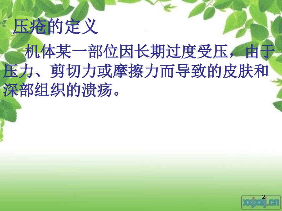 压疮的评估及护理.ppt_第2页