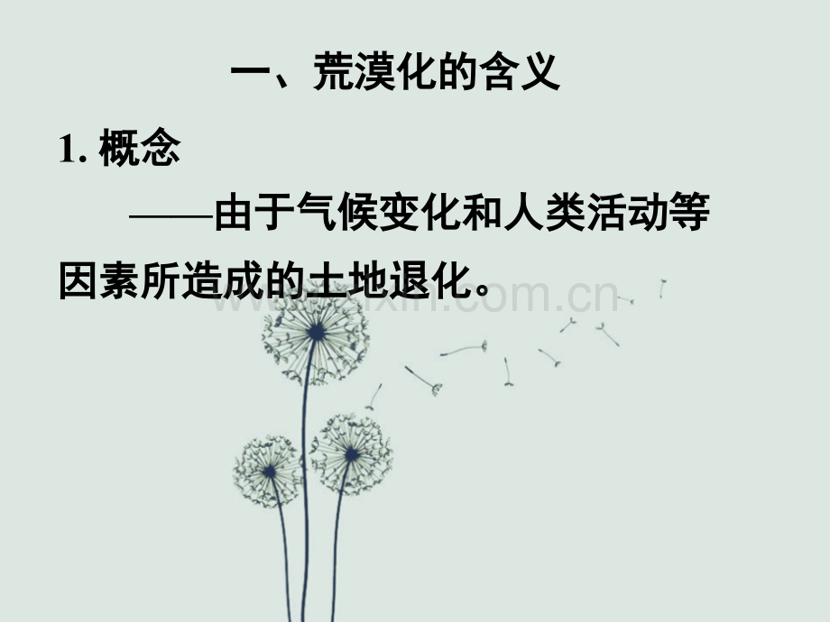 高二地理《荒漠化的危害与治理》(课件).ppt_第2页