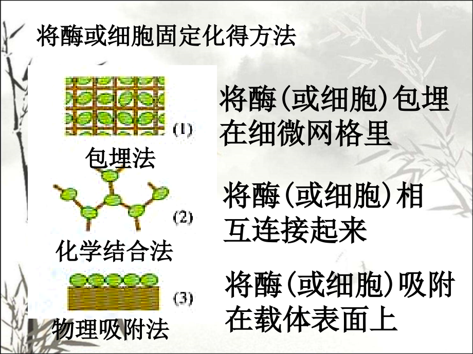 上课用植物芳香油的提取.pptx_第3页