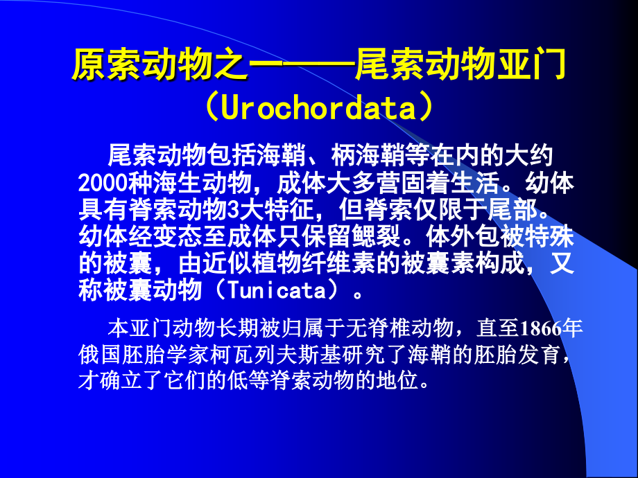 动物生物学课件20(西北大学).ppt_第1页