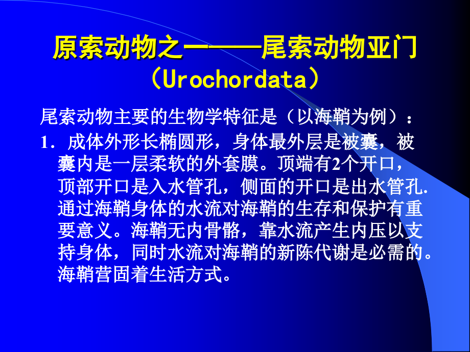 动物生物学课件20(西北大学).ppt_第2页