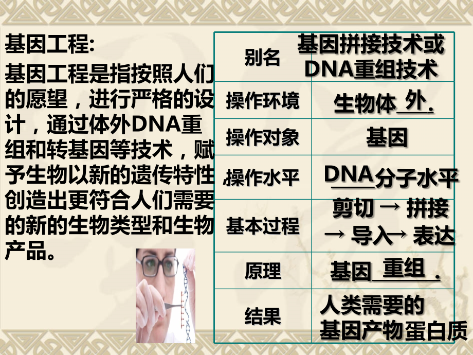 人教版高二生物选修三课件：4.1转基因生物的安全性.ppt_第3页