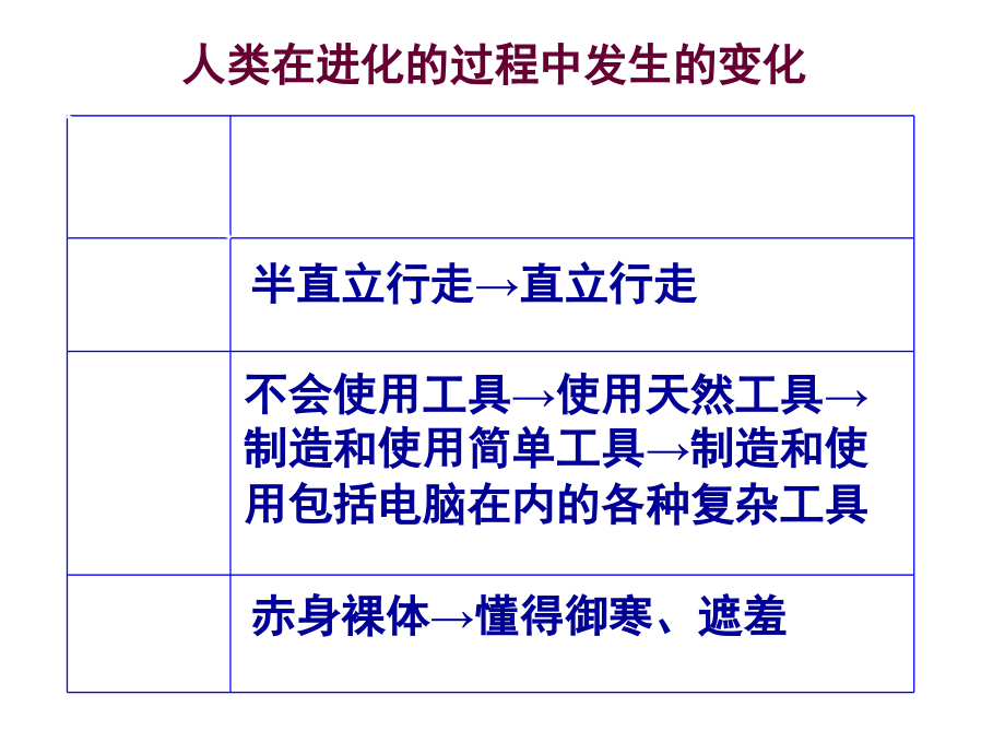 初一下册生物人的生殖.ppt_第2页