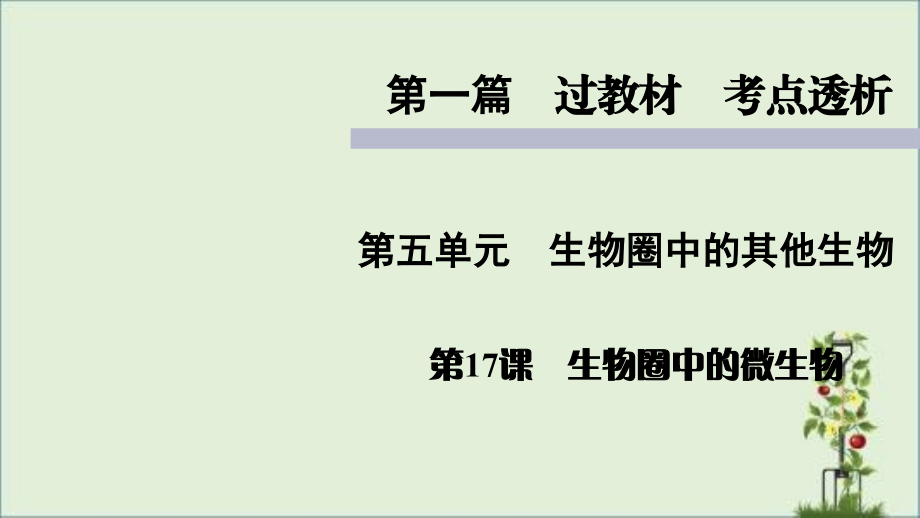 人教版七年级上册生物知识点精讲课件生物圈中的微生物.pptx_第1页