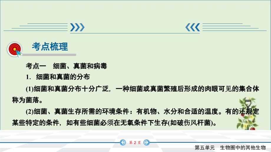 人教版七年级上册生物知识点精讲课件生物圈中的微生物.pptx_第2页