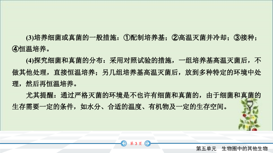 人教版七年级上册生物知识点精讲课件生物圈中的微生物.pptx_第3页