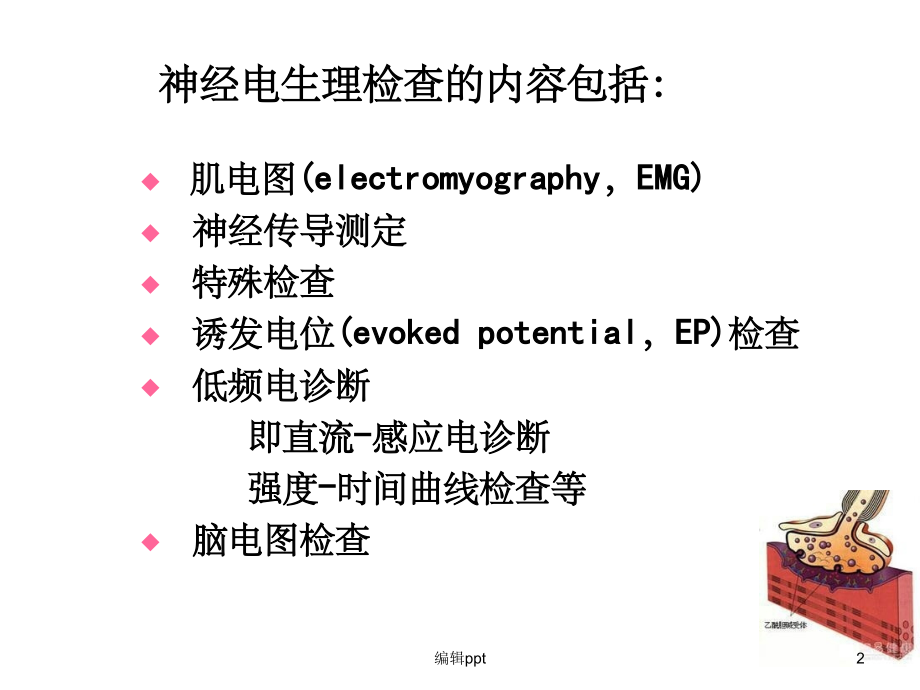 神经肌电图生理检查.ppt_第2页