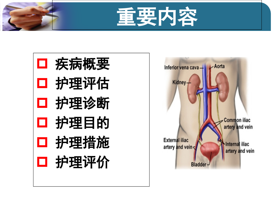 gf-尿路感染病人的护理.ppt_第3页