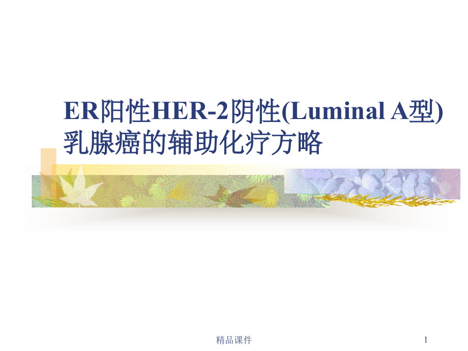 ER乳腺癌的治疗.ppt_第1页