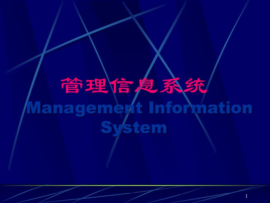 管理信息系统ppt.ppt_第1页