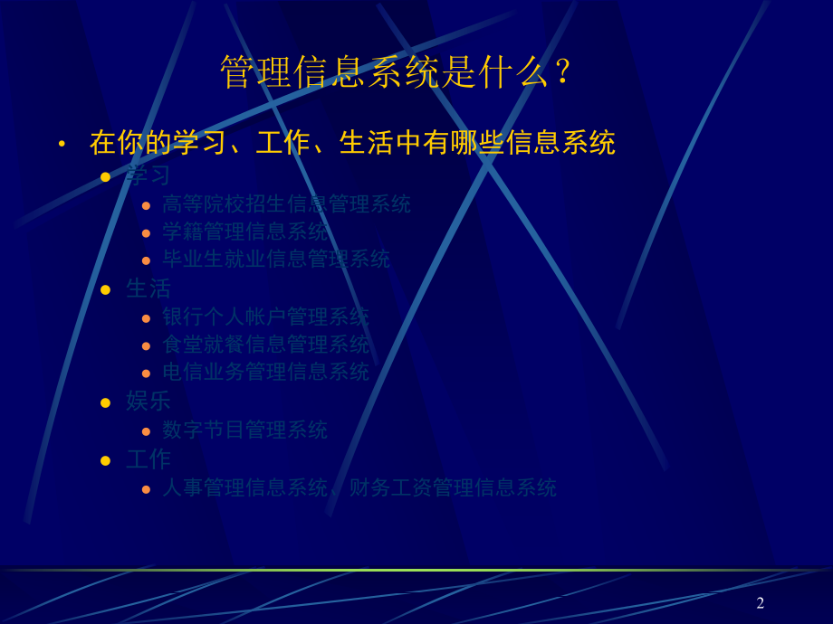 管理信息系统ppt.ppt_第2页