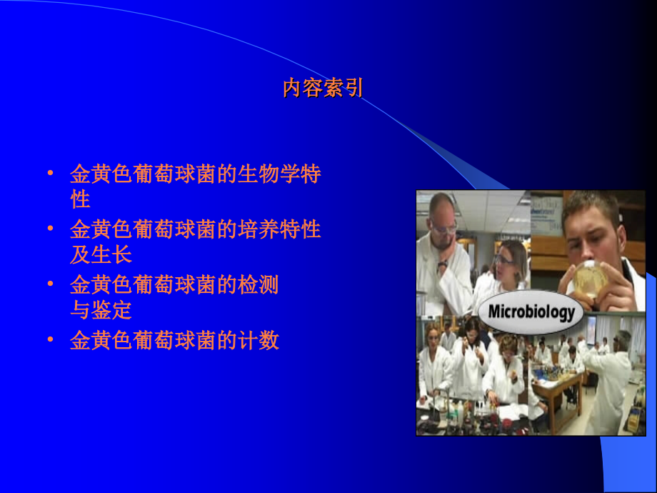 金黄色葡萄球菌知识培训.ppt_第2页