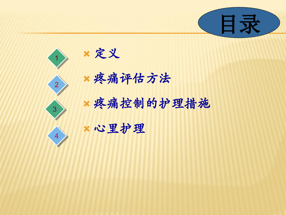 骨科疼痛的护理.ppt_第2页