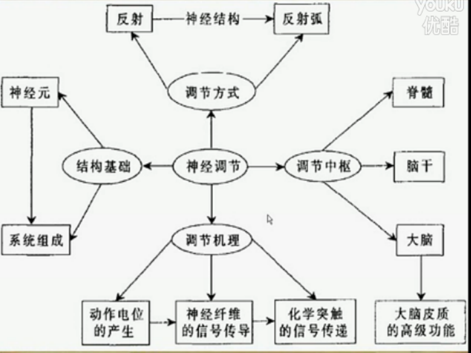 广东地区适用高考生物总复习通过神经系统的调节.ppt_第2页