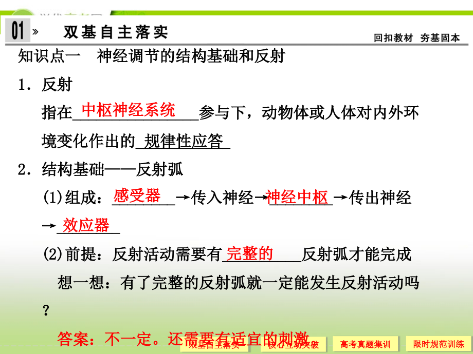 广东地区适用高考生物总复习通过神经系统的调节.ppt_第3页