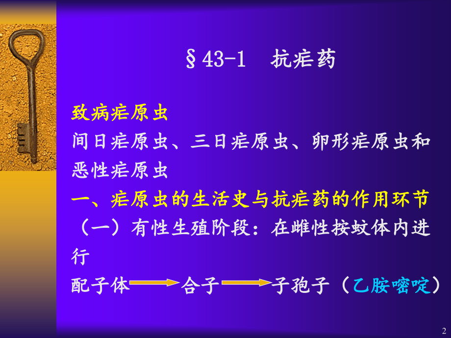 抗寄生虫药和抗肿瘤药.ppt_第2页