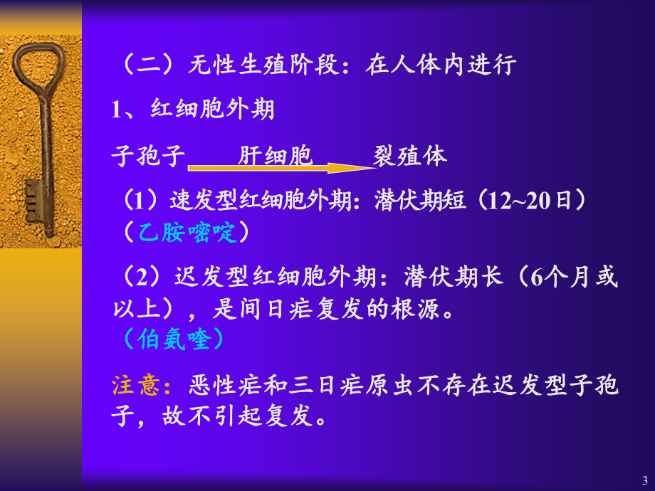 抗寄生虫药和抗肿瘤药.ppt_第3页