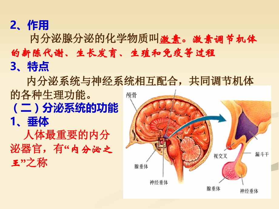 内分泌系统和免疫系统.ppt_第3页