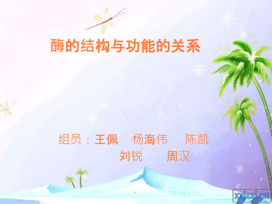 酶的结构与功能的.ppt_第1页