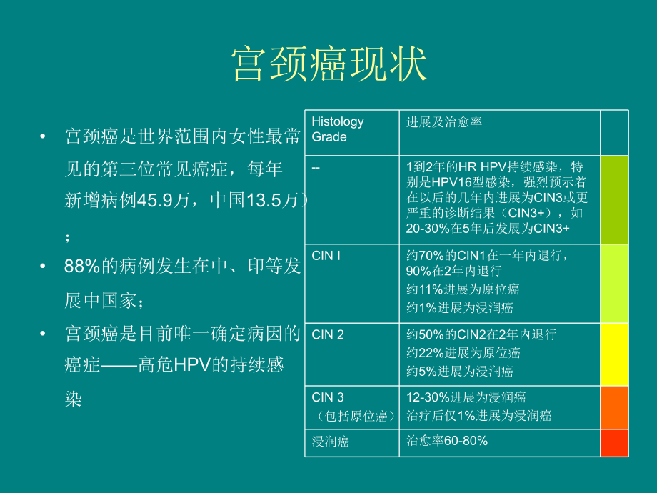 宫颈癌筛查.ppt_第3页