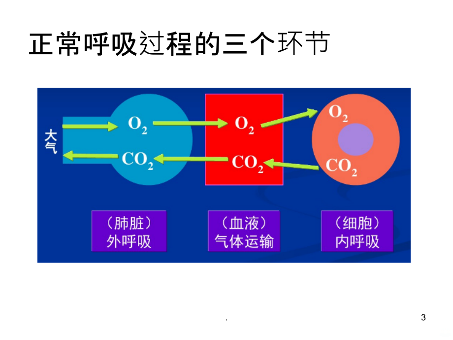 呼吸衰竭PPT课件.ppt_第3页