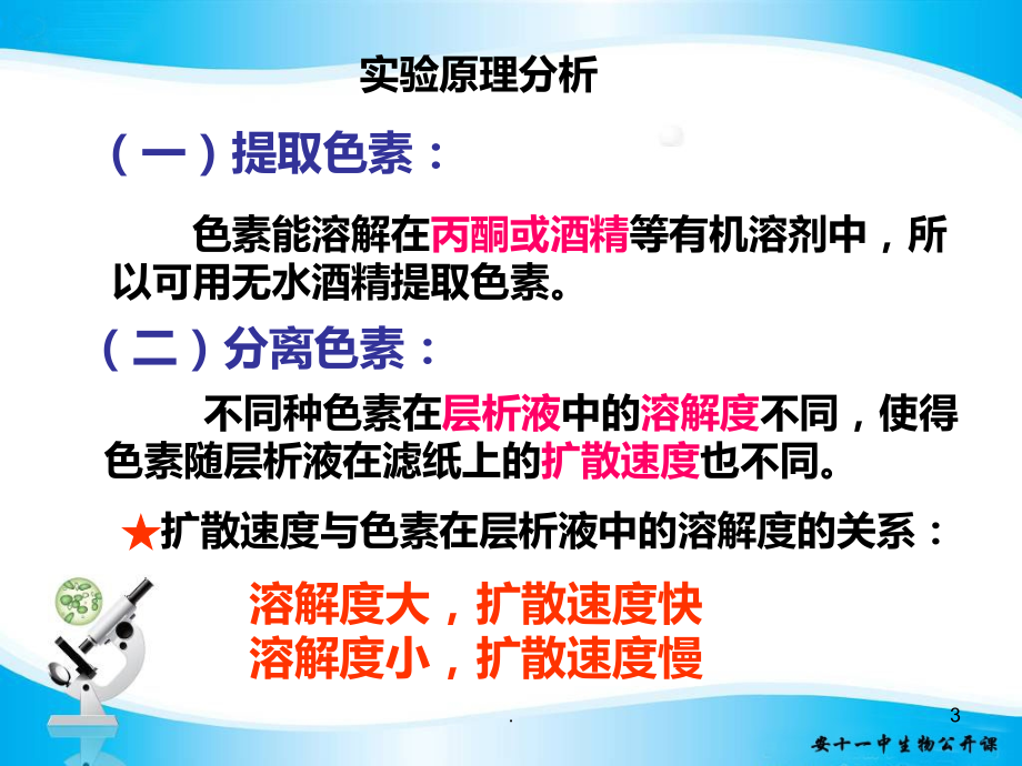 高中生物必修一-能量之源-光与光合作用-捕获光能的色素和结构-叶绿体中色素的提取和分离.ppt_第3页