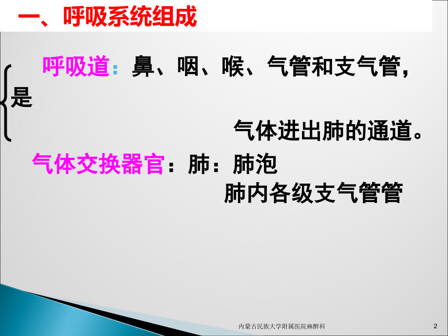 呼吸系统解剖与麻醉ppt课件.ppt_第2页