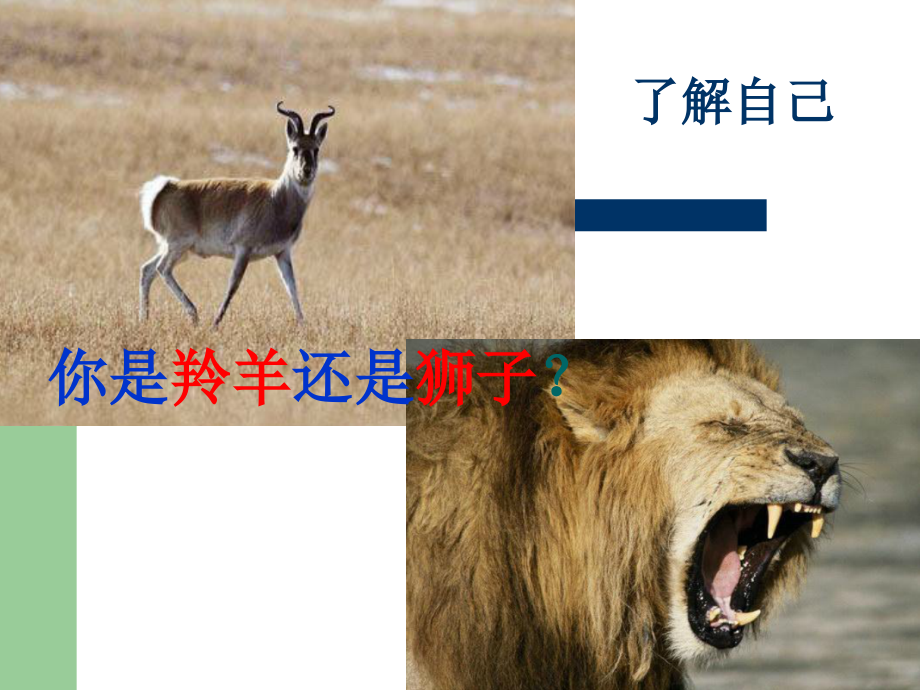 追求卓越-拒绝平庸主题班会.ppt_第2页