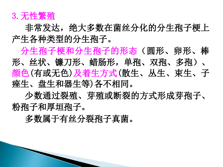 普通植物病理学真菌子囊菌ppt课件.ppt_第3页