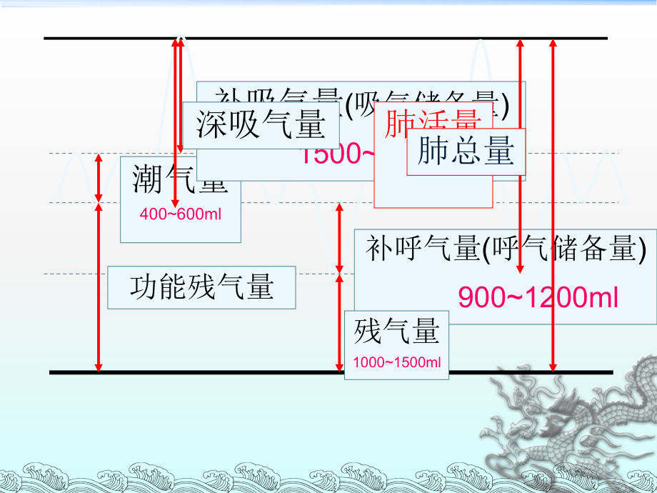 支气管哮喘---.ppt_第1页