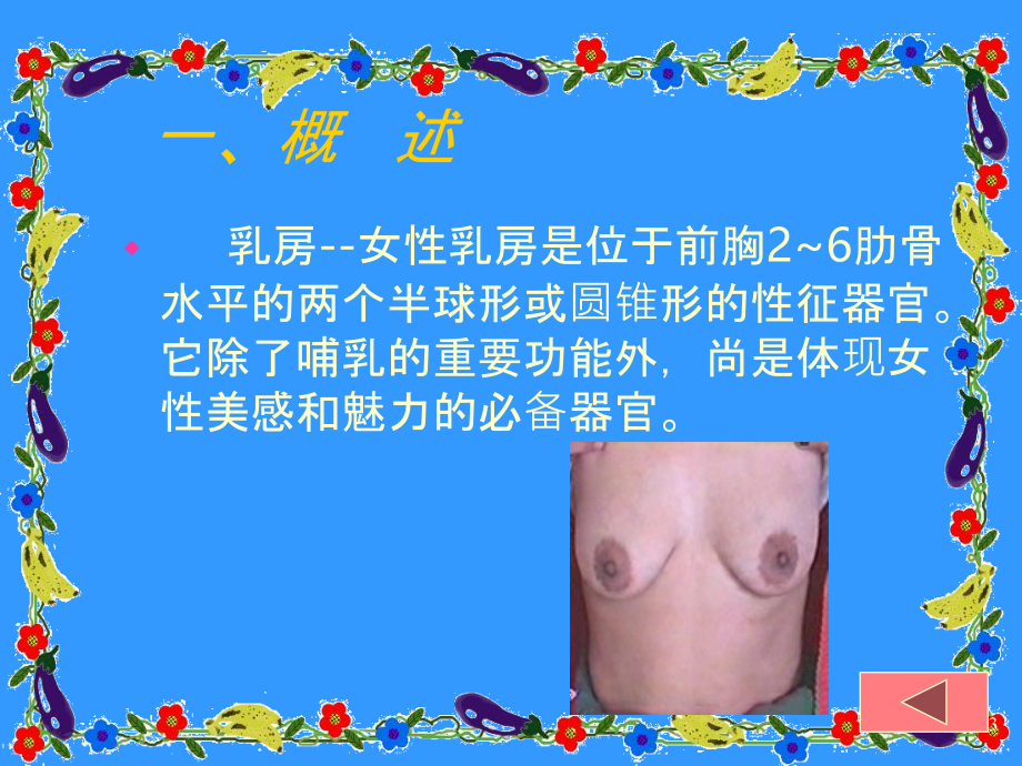 乳房的正确检查法PPT课件.ppt_第3页