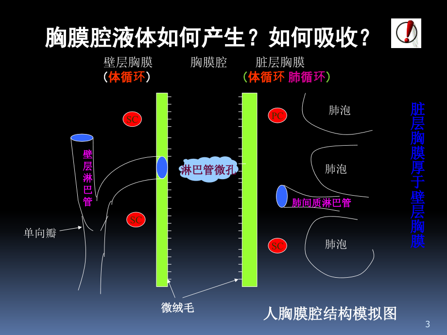 胸腔积液临床表现-.ppt_第3页