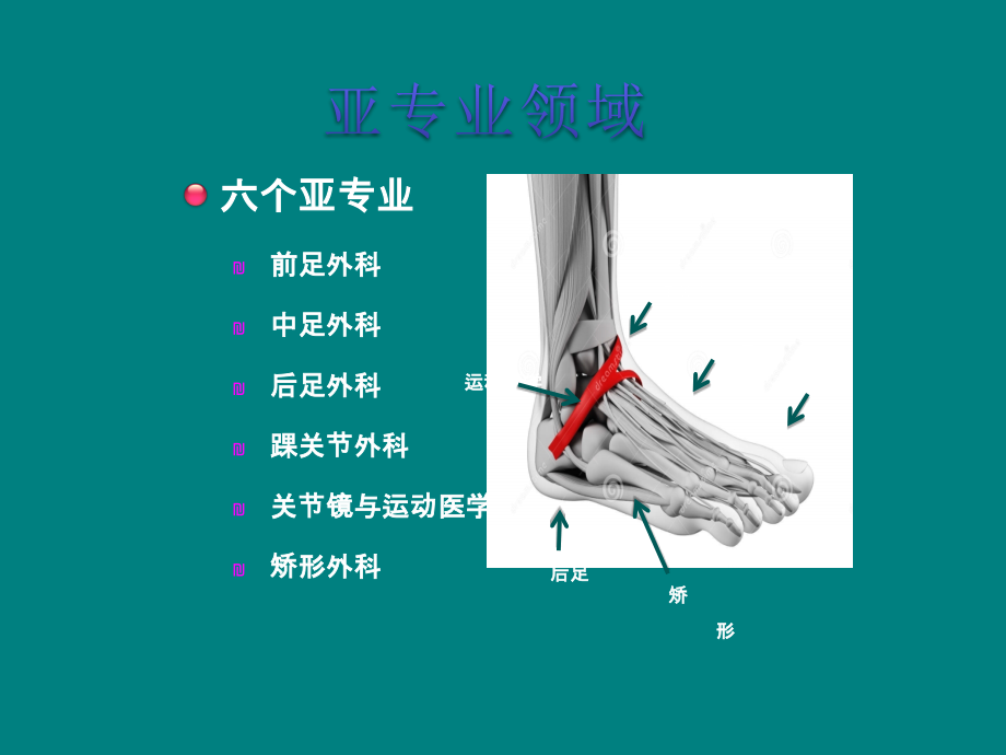 足踝外科：热点与问题.ppt_第3页