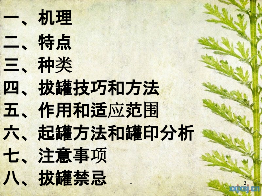 基础班火罐.ppt_第3页