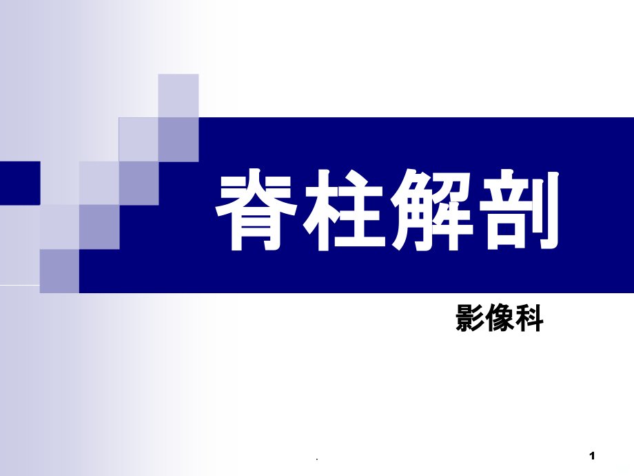 脊柱解剖.ppt_第1页