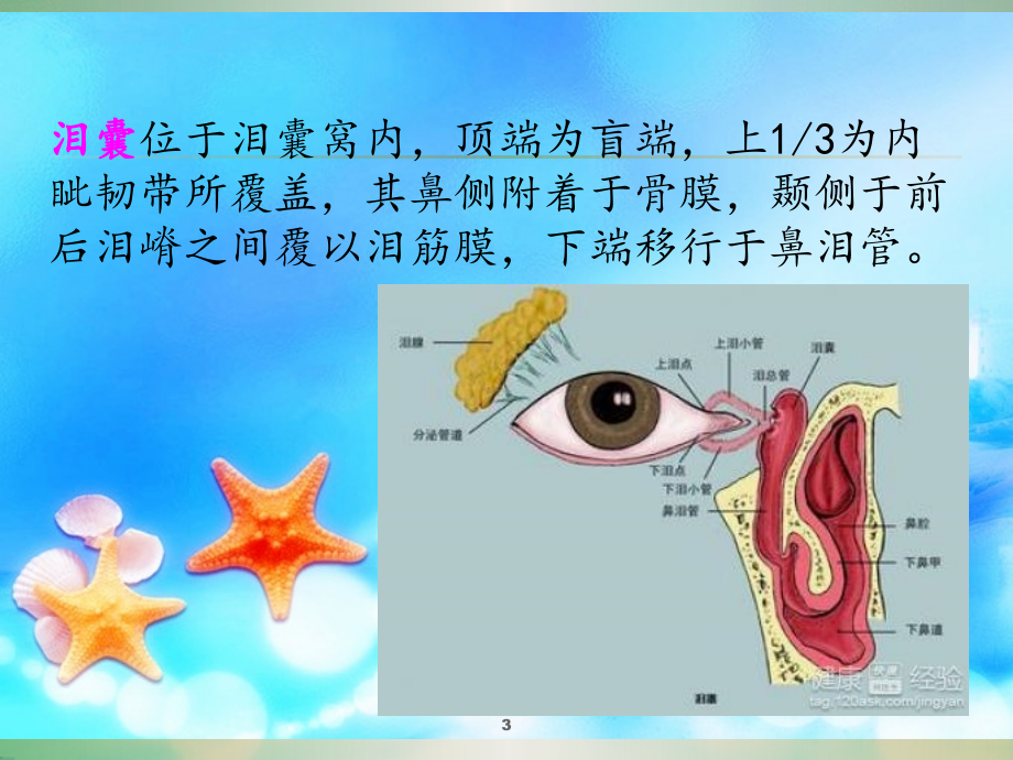 慢性泪囊炎患者的围手术期护理.ppt_第3页