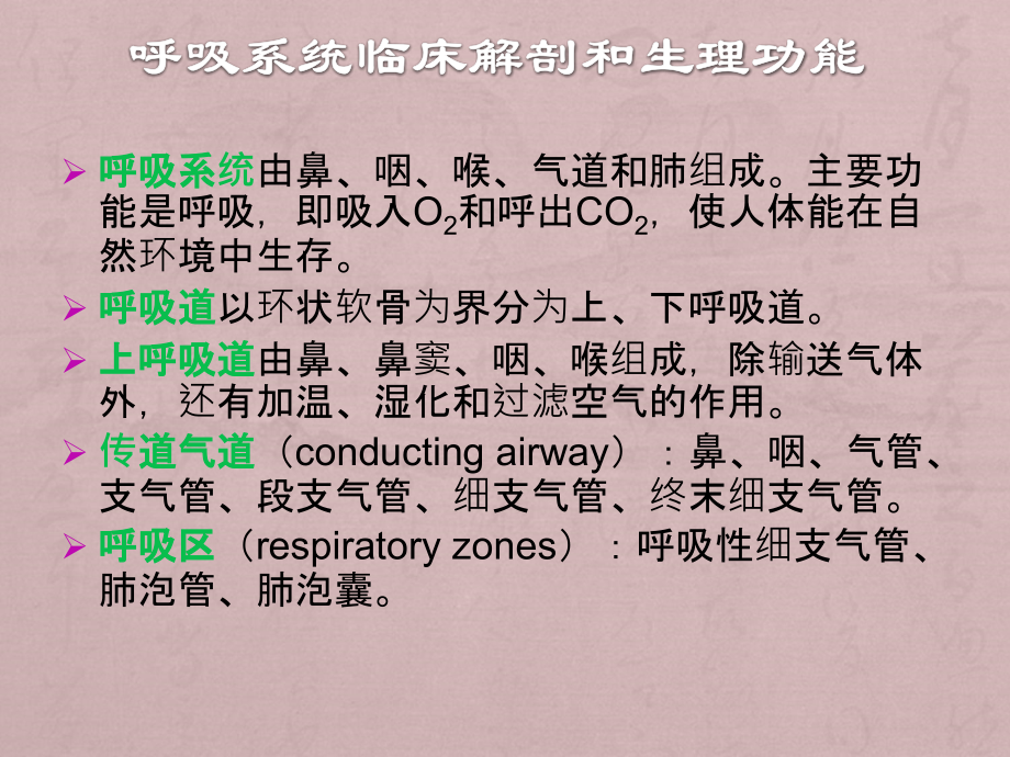 医学影像解剖-胸部.ppt_第3页