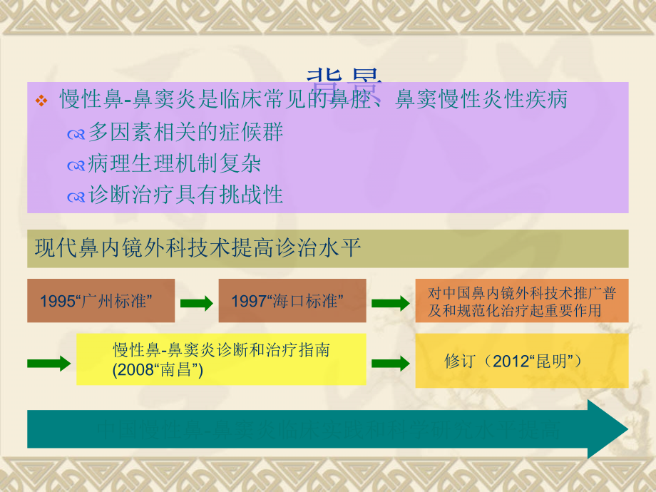 慢性鼻鼻窦炎治疗指南.ppt_第2页