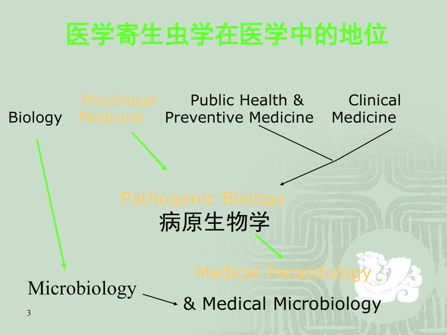 医学寄生虫学总论-.ppt_第3页