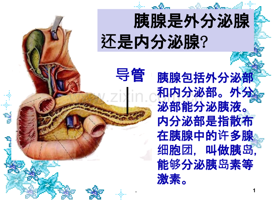 人体生命活动的调节——神经调节(第二～三节).ppt_第1页