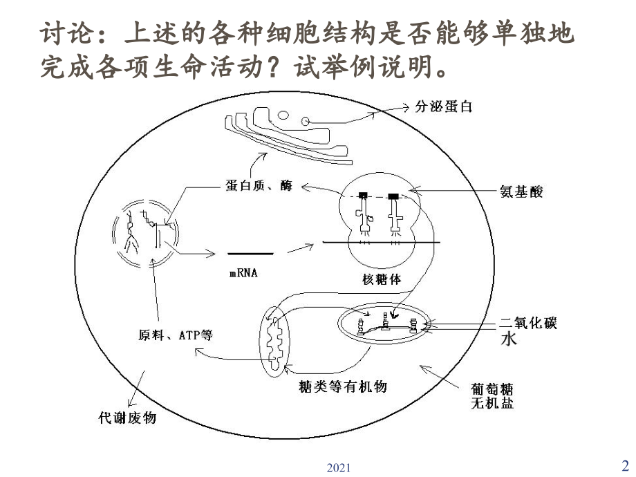 生命的物质基础2016.ppt_第2页