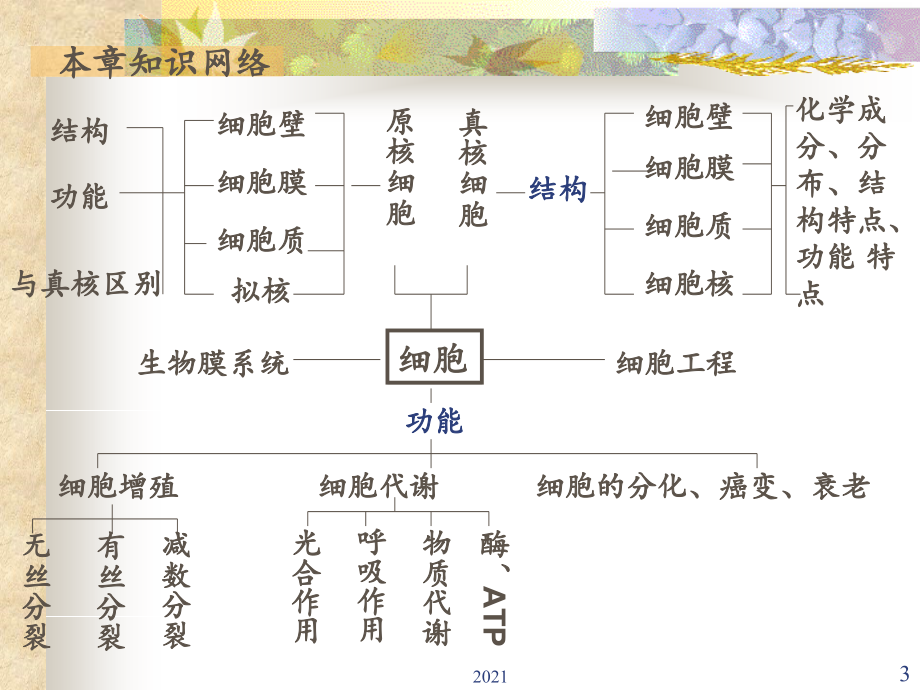 生命的物质基础2016.ppt_第3页