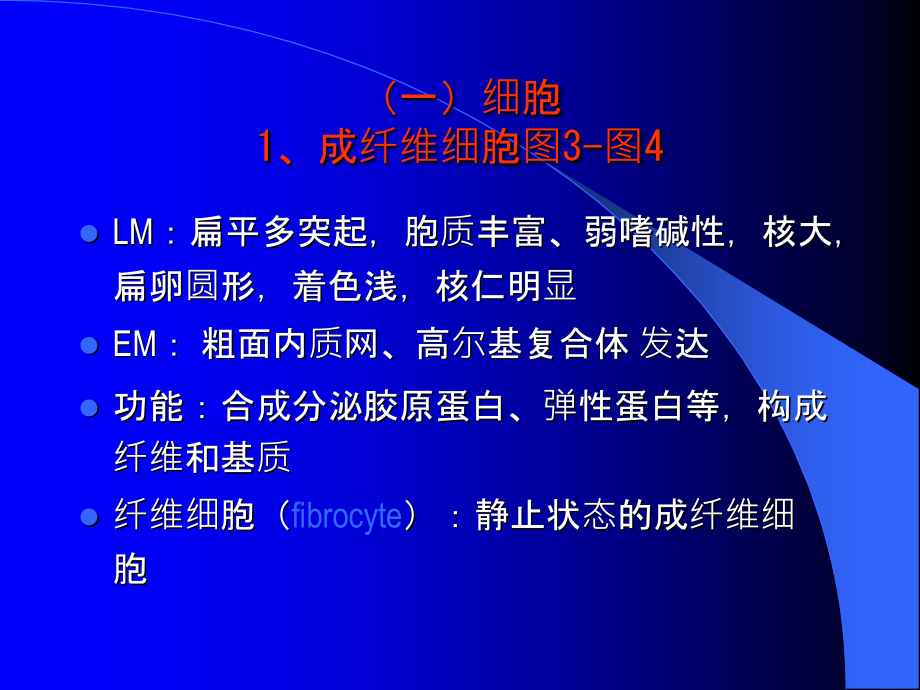 结缔组织医学医药课件.ppt_第3页