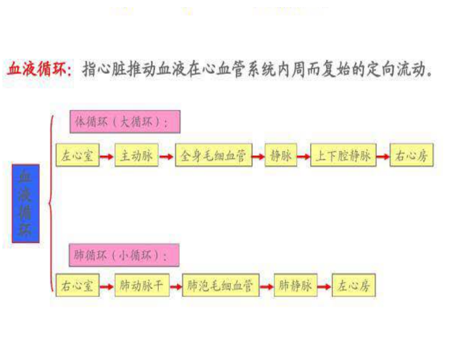 颈部血管解剖.ppt_第3页